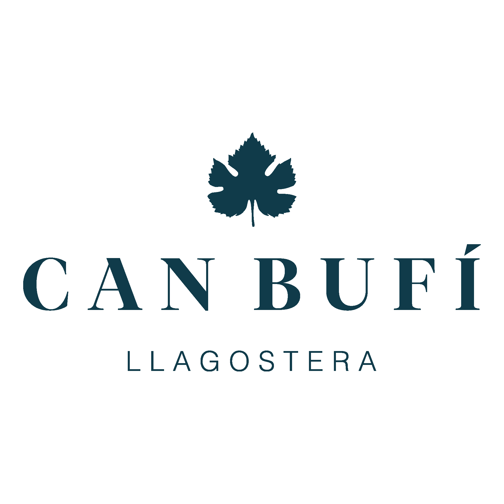 09 LOGOTIP CAN BUFI